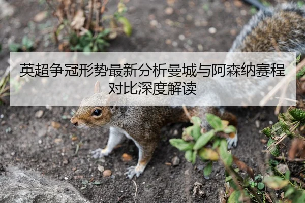英超争冠形势最新分析曼城与阿森纳赛程对比深度解读
